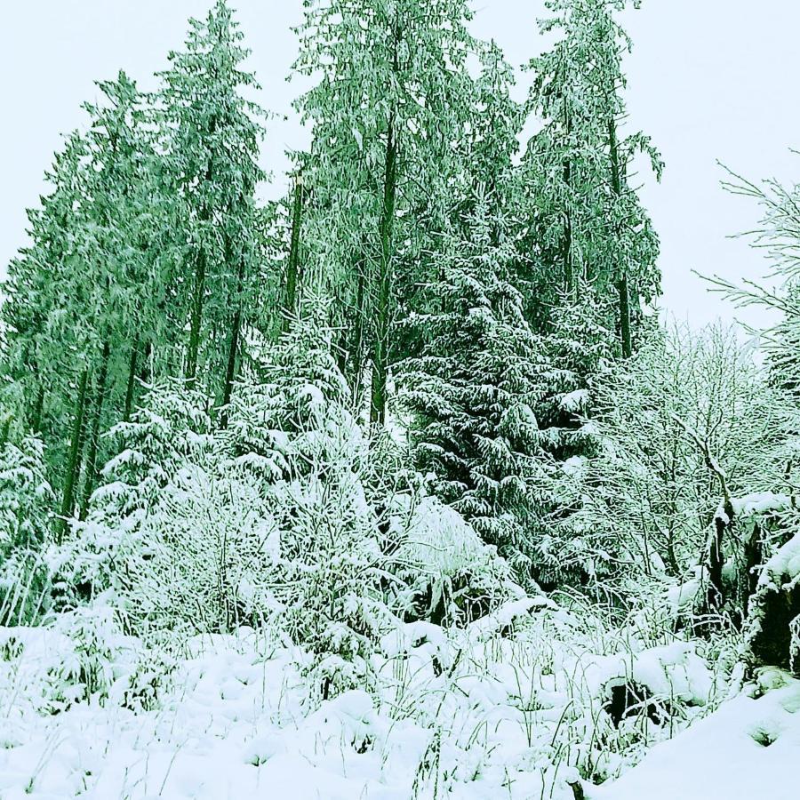 Yalet 2 Vlakbij Willingen *