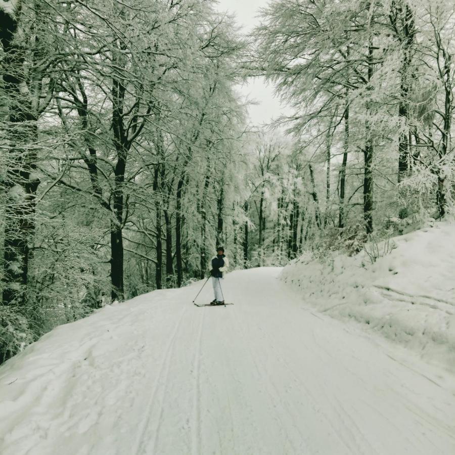 Yalet 2 Vlakbij Willingen * Brilon-Wald